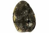 6.2" Free-Standing, Polished Septarian Geode - Black Crystals - #156613-1